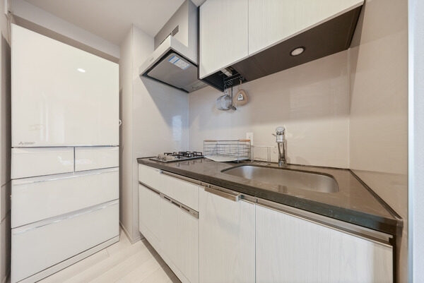 ディスポーザー、食器洗浄乾燥機、浄水器一体型水栓が備わっております