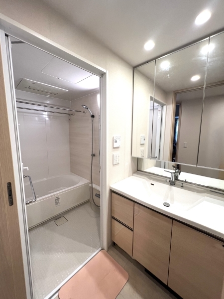 三面鏡収納付洗面化粧台