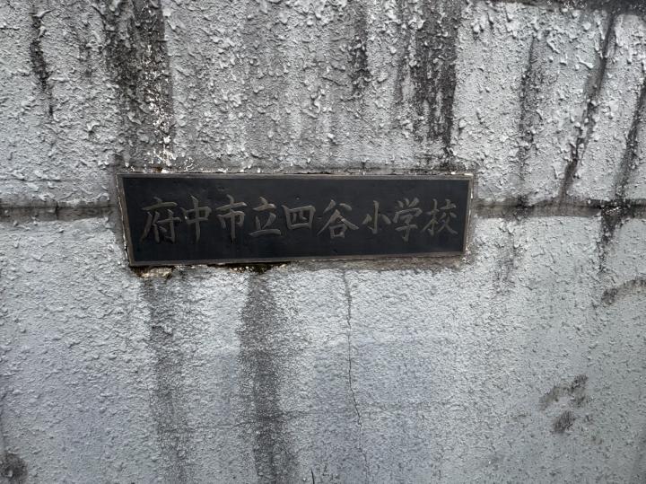 府中市立四谷小学校 約460m(徒歩6分)