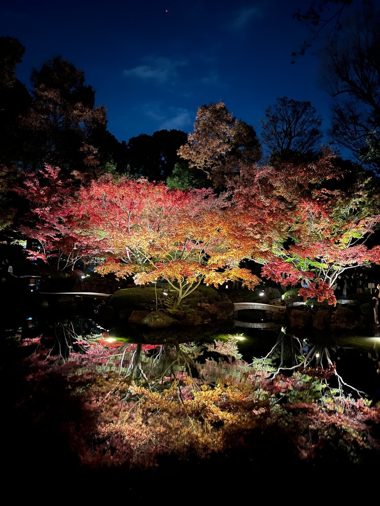 大田黒公園.jpg