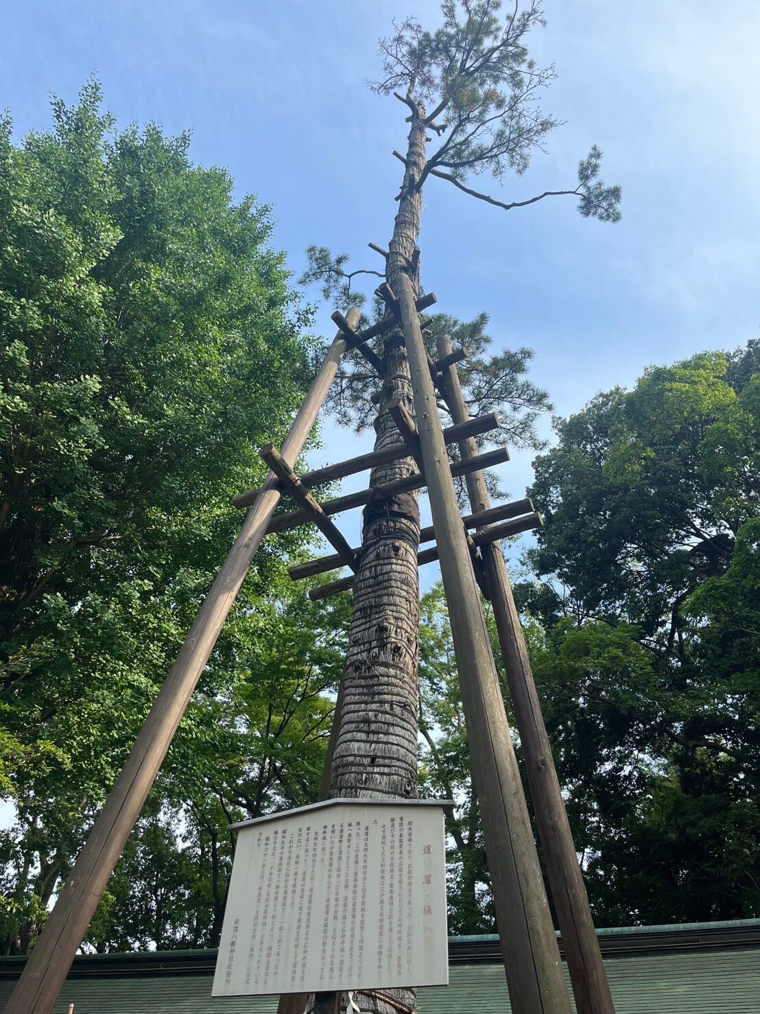 荻窪八幡神社.jpg